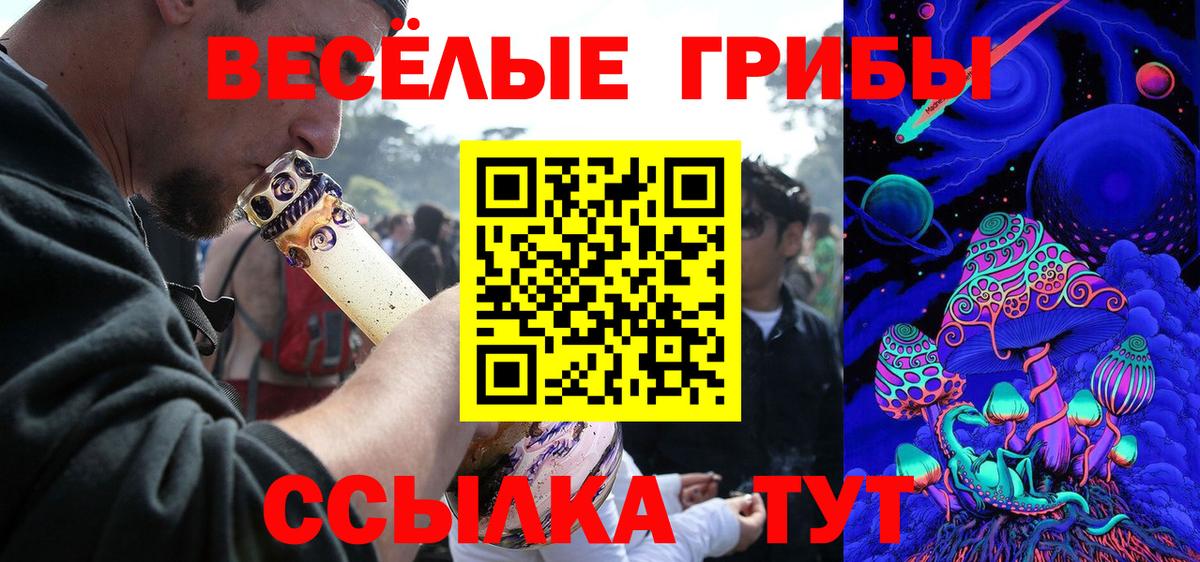 Псилоцибиновые грибы прущие грибы  Пенза  Псилоцибиновые грибы GOLDEN TEACHER 