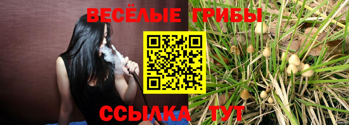 Пенза  Галлюциногенные грибы мухоморы  Псилоцибиновые грибы ЛСД  Вход с VPN 